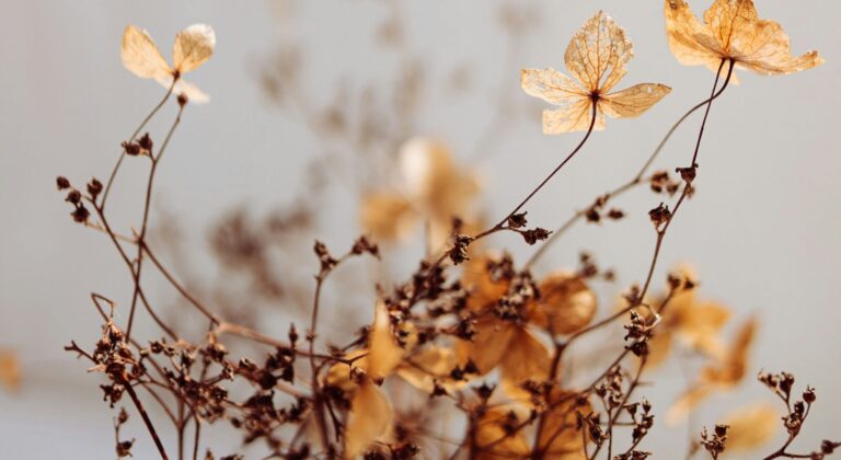 Brown floweres and vines